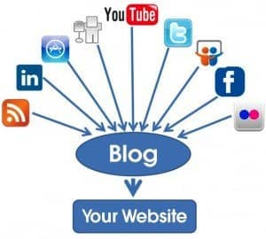 Social media, blog, website